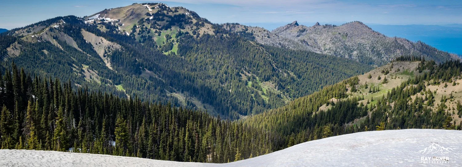Hurricane-Ridge-Olympic-006.jpg