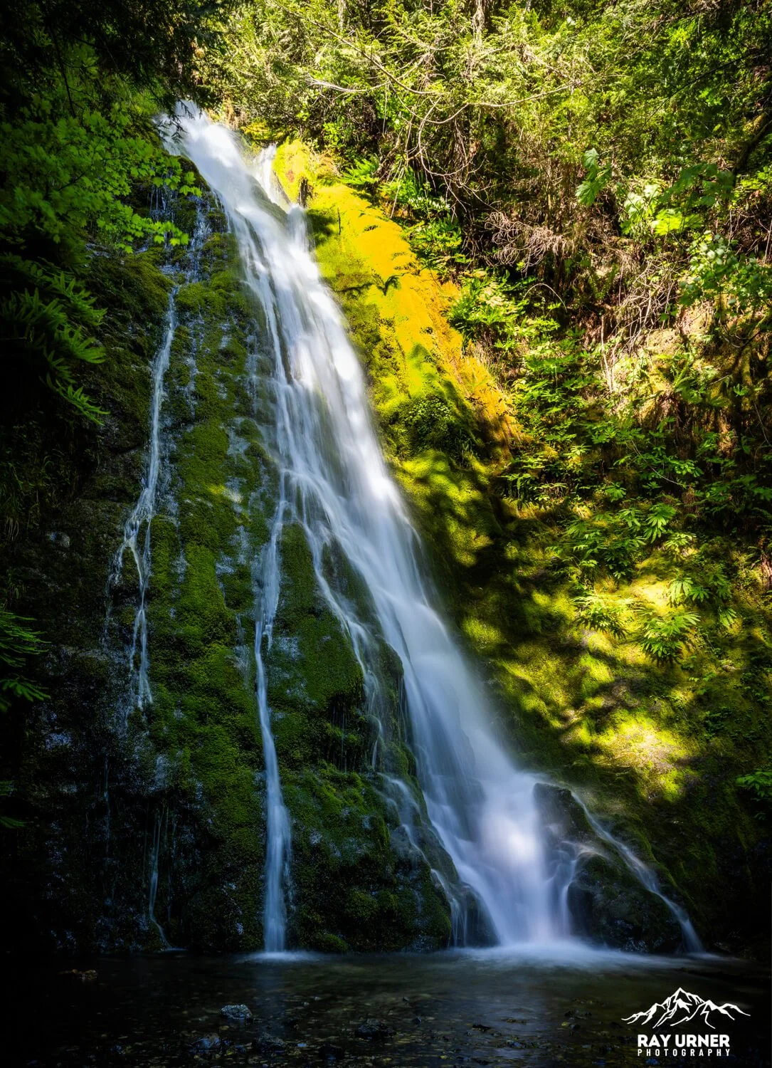 Madison-Creek-Falls-Olympic-006.jpg