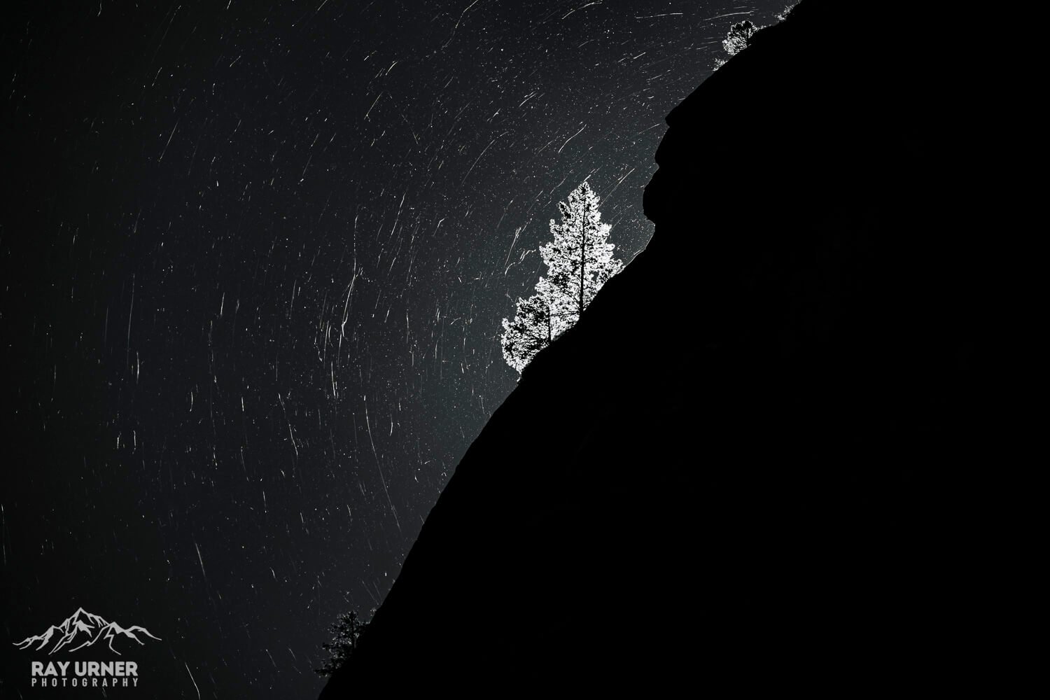 Yosemite National Park in California - Airborn spider webs