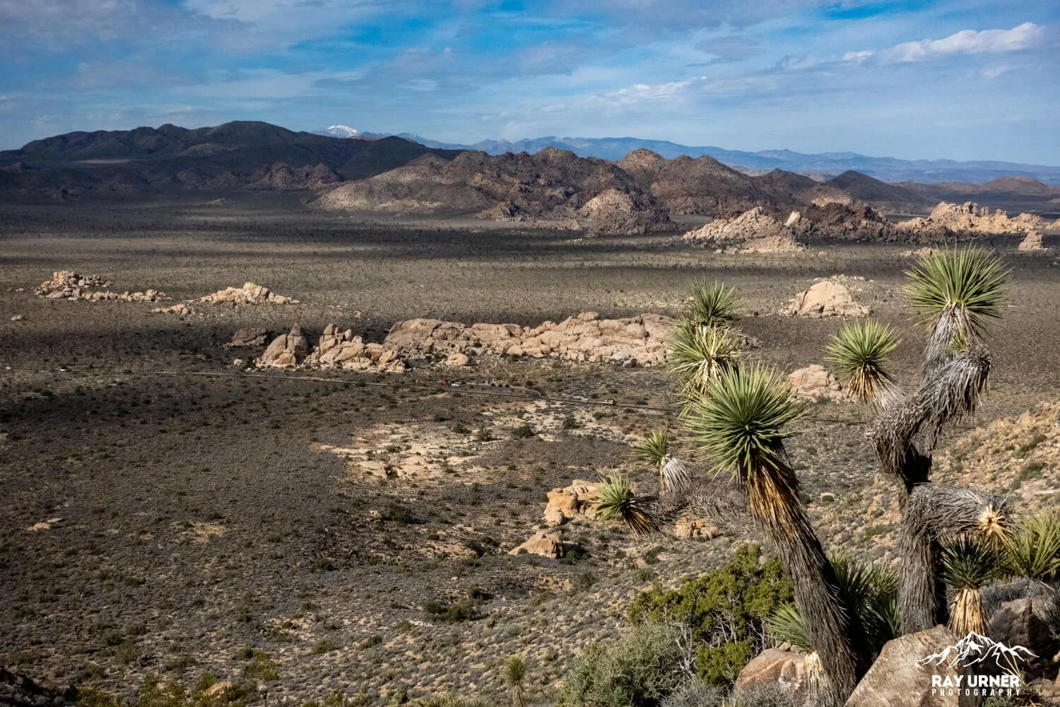Joshua-Tree-Ryan-Mountain-030.jpg