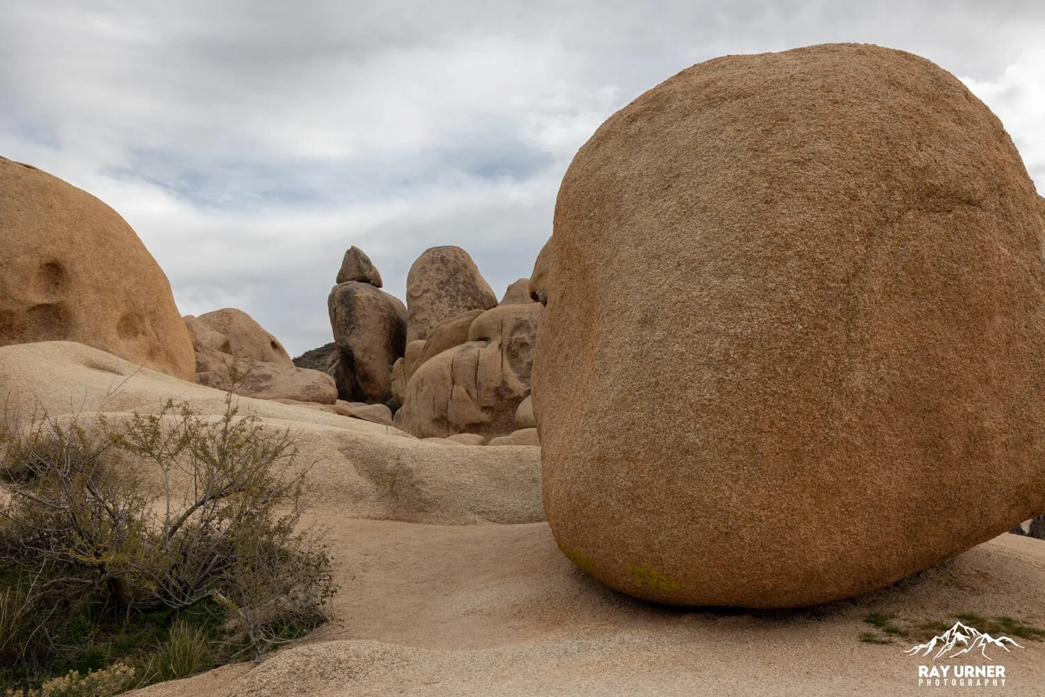Joshua-Tree-Heart-Rock-007.jpg