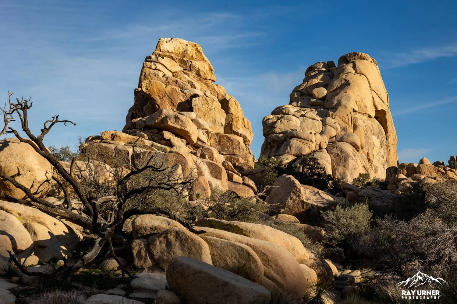 Joshua-Tree-Hidden-Valley-018.jpg