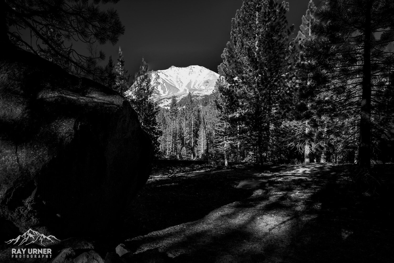Devastated-Area-003.jpg