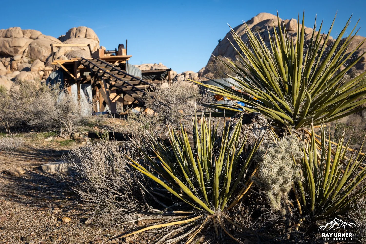Joshua-Tree-Wall-Street-Mill-016.jpg