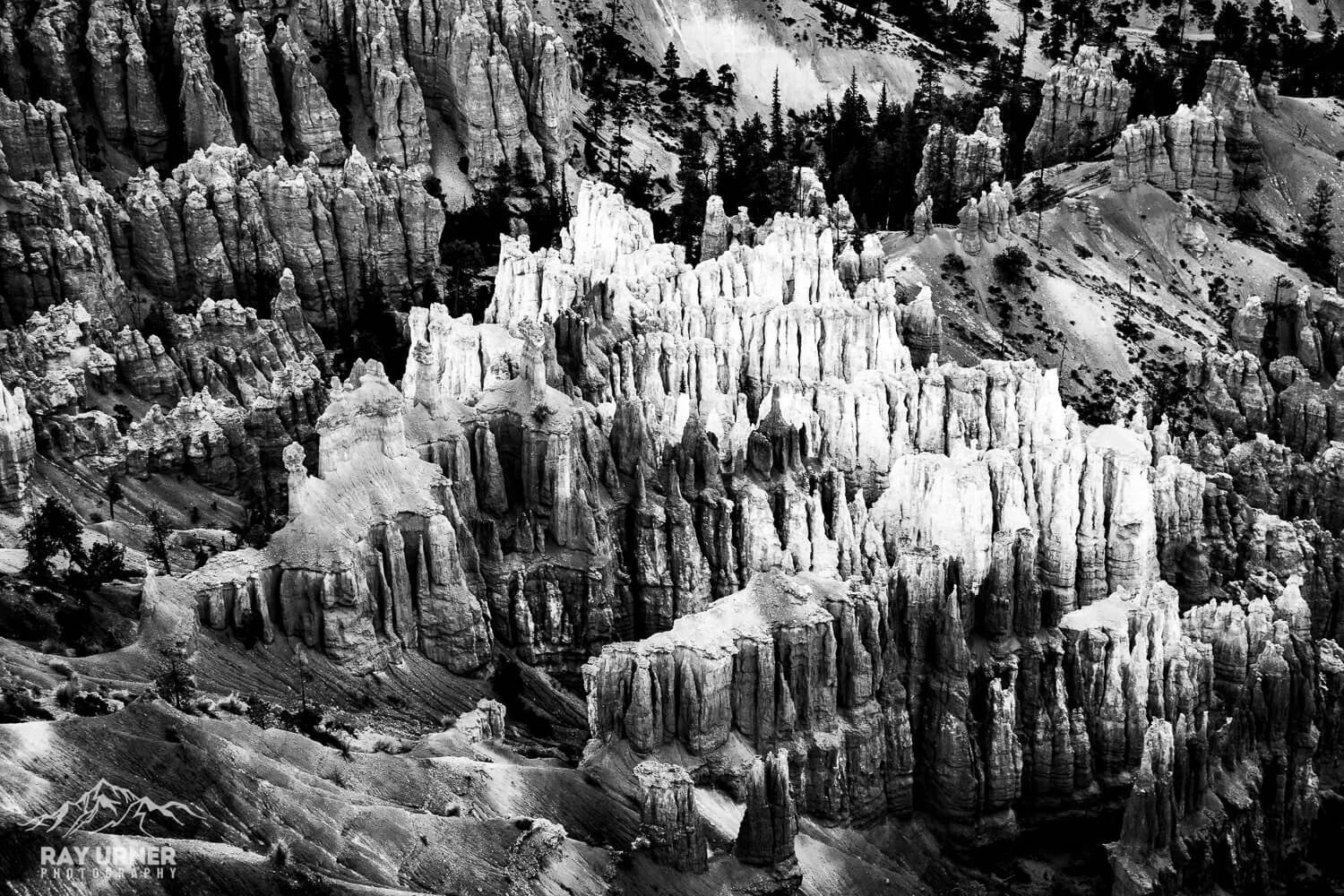 Black and white photograph of rocky canyon formations with steep cliffs and sparse trees, likely a national park landscape.