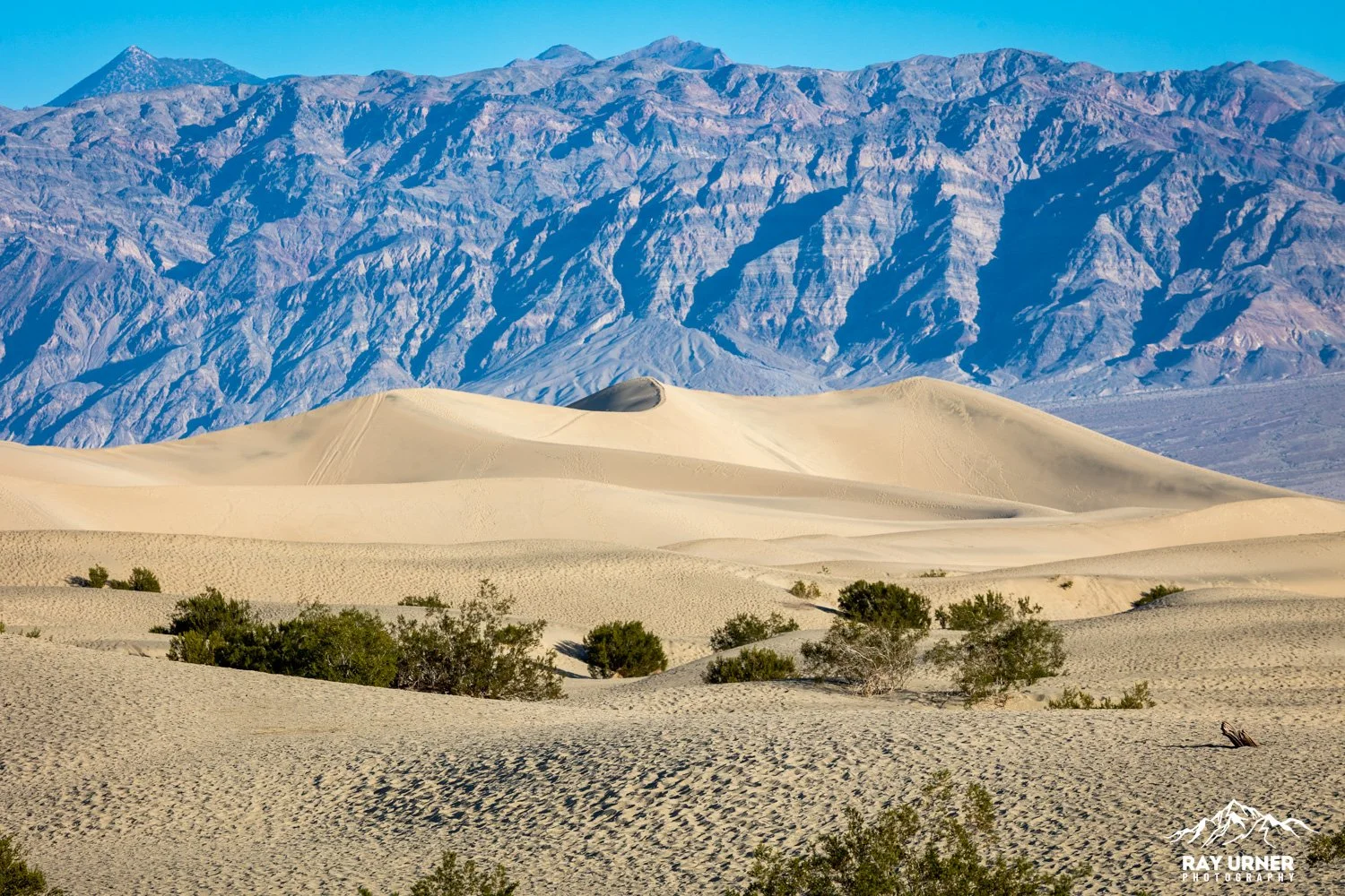 Death-Valley-Mesquite-Sand-Dunes-Sunrise-106.jpg