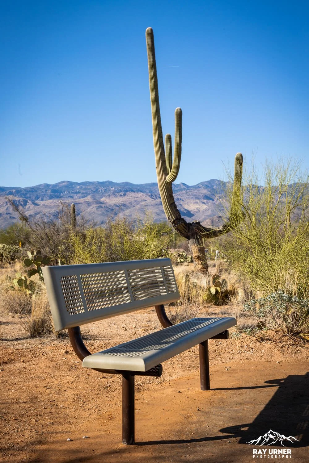 Saguaro-Mica-View-Picnic-Area-018.jpg