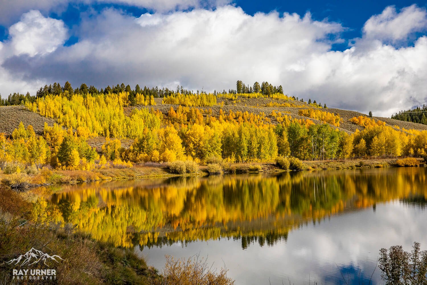 Fall colors in Wyoming