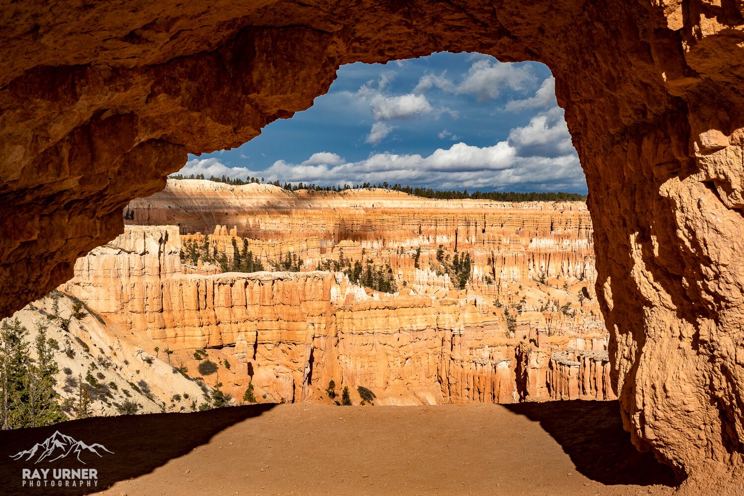 Bryce Canyon National Park in Utah, photographed along the Peekaboo Loop Trail