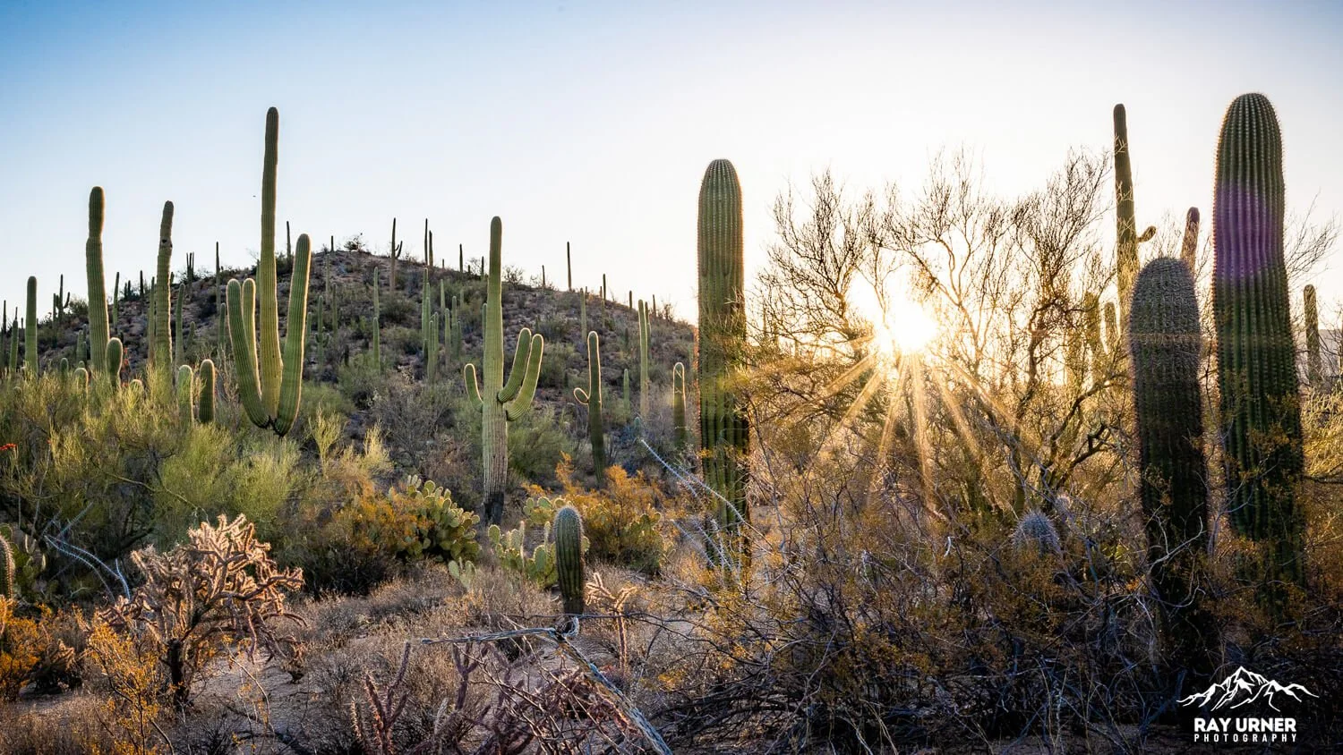 Saguaro-Valley-View-Overlook-Trail 008.jpg