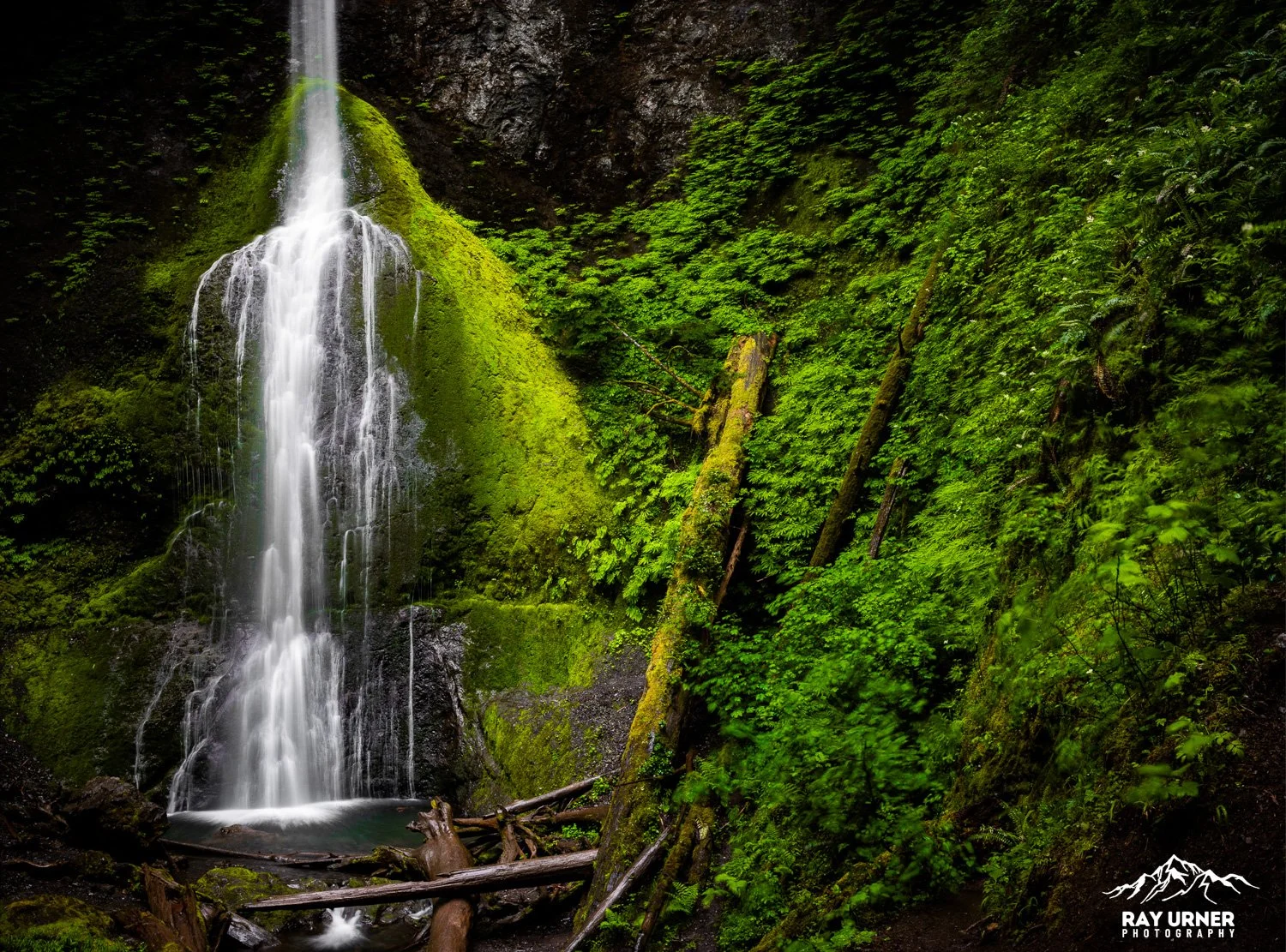 Marymere-Falls-Olympic-009.jpg