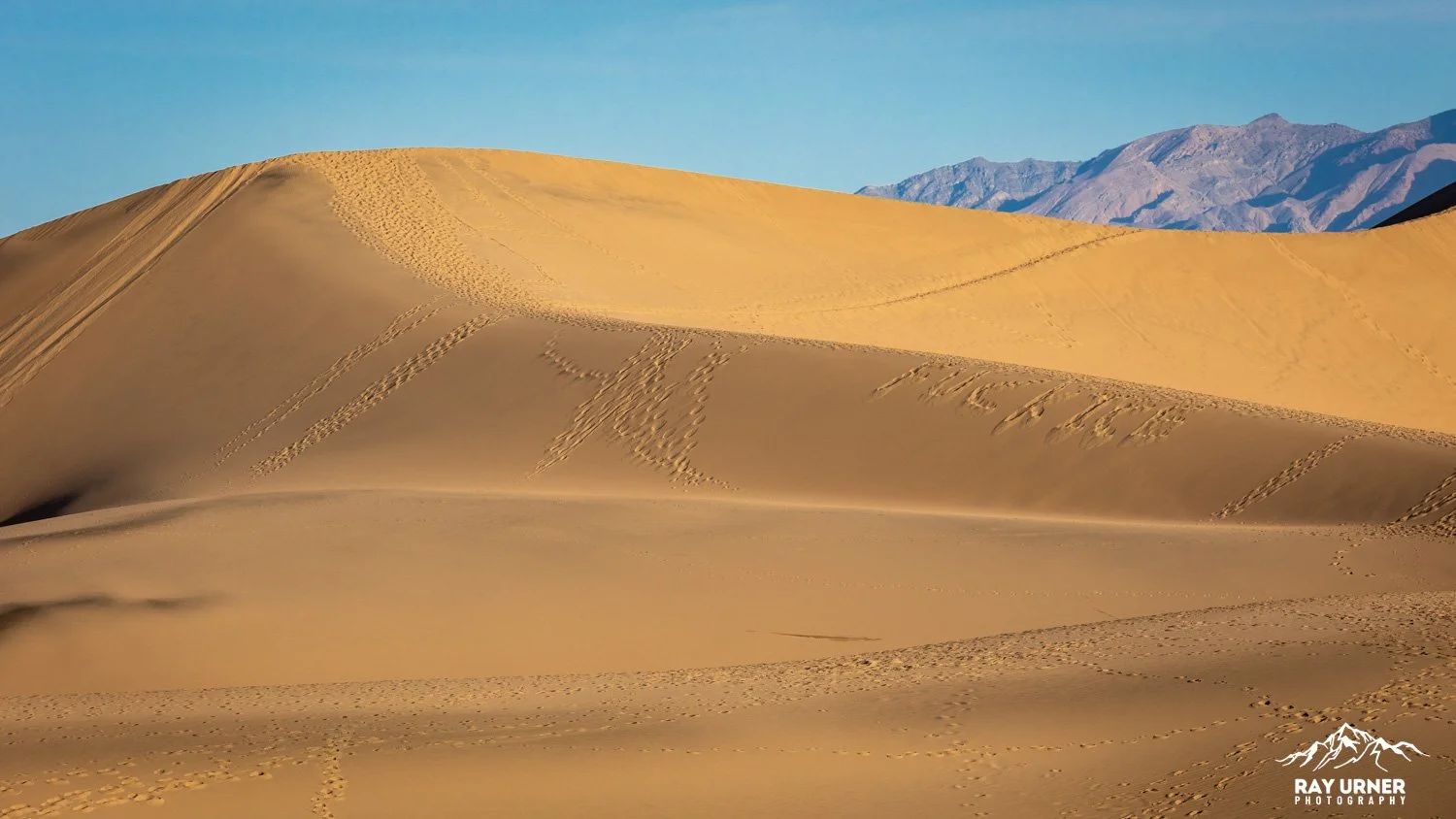 Death-Valley-Mesquite-Sand-Dunes-Sunrise-095.jpg