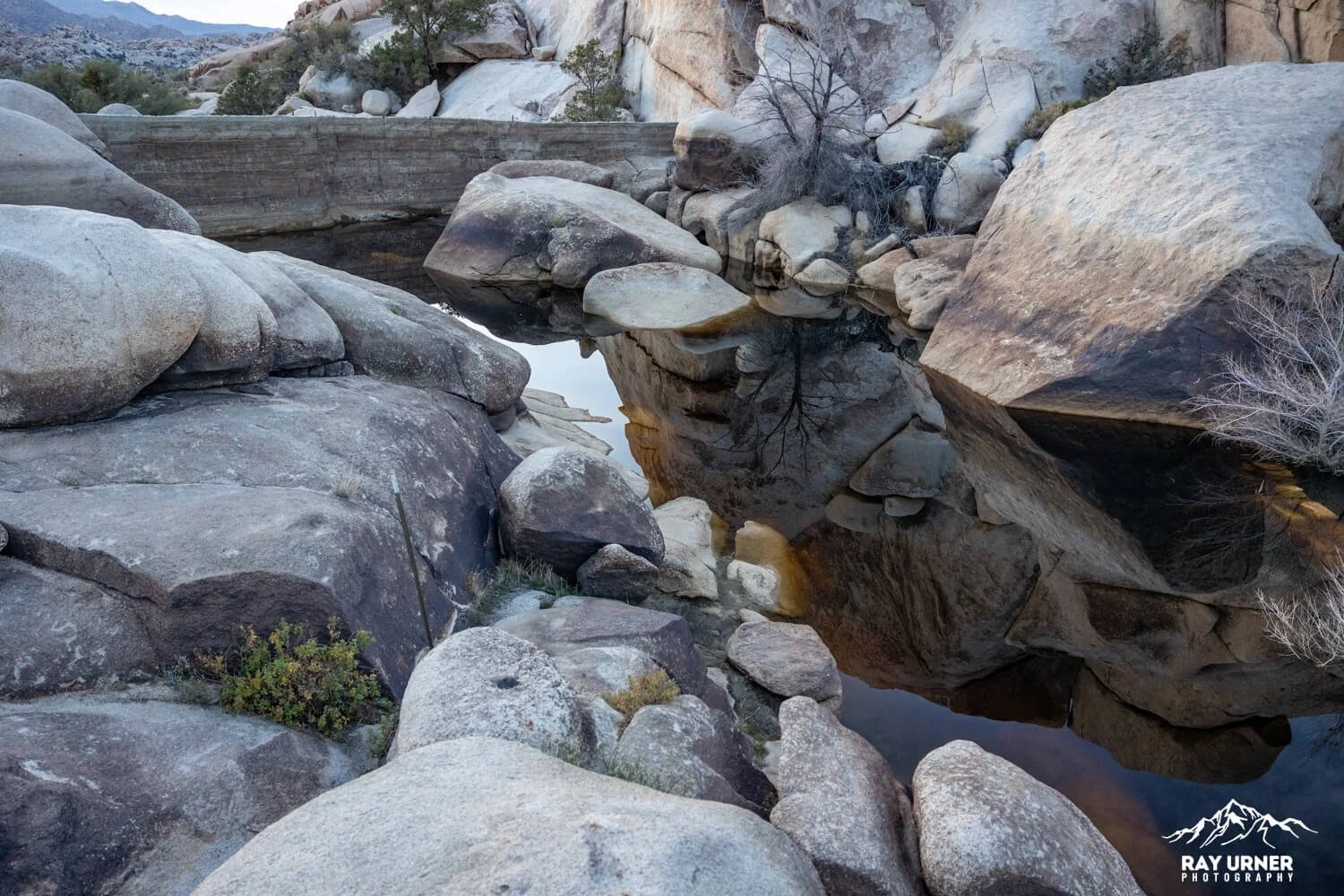 Joshua-Tree-Barker-Dam-021.jpg