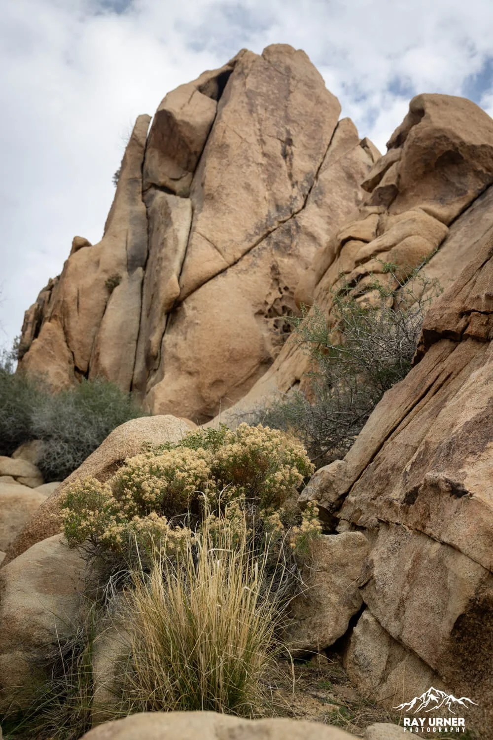 Joshua-Tree-Split-Rock-013.jpg