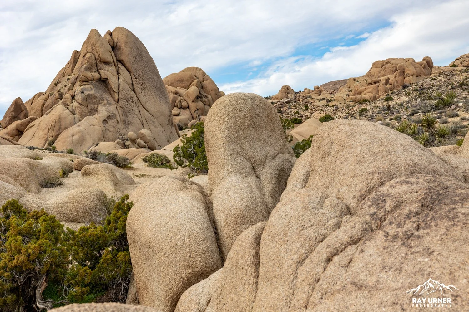 Joshua-Tree-Skull-Rock-011.jpg