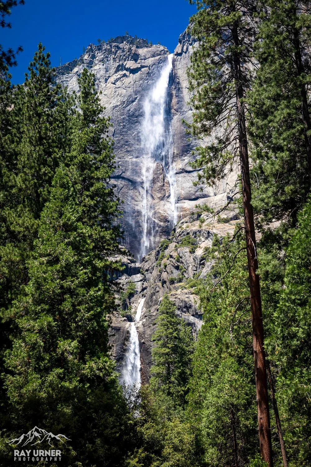 Tall waterfall cascading down a granite cliff, surrounded by lush green pine trees under a clear blue sky.