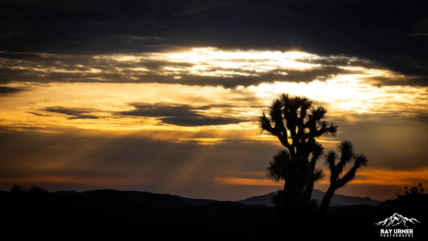Joshua-Tree-Keys-View-Sunrise-013.jpg