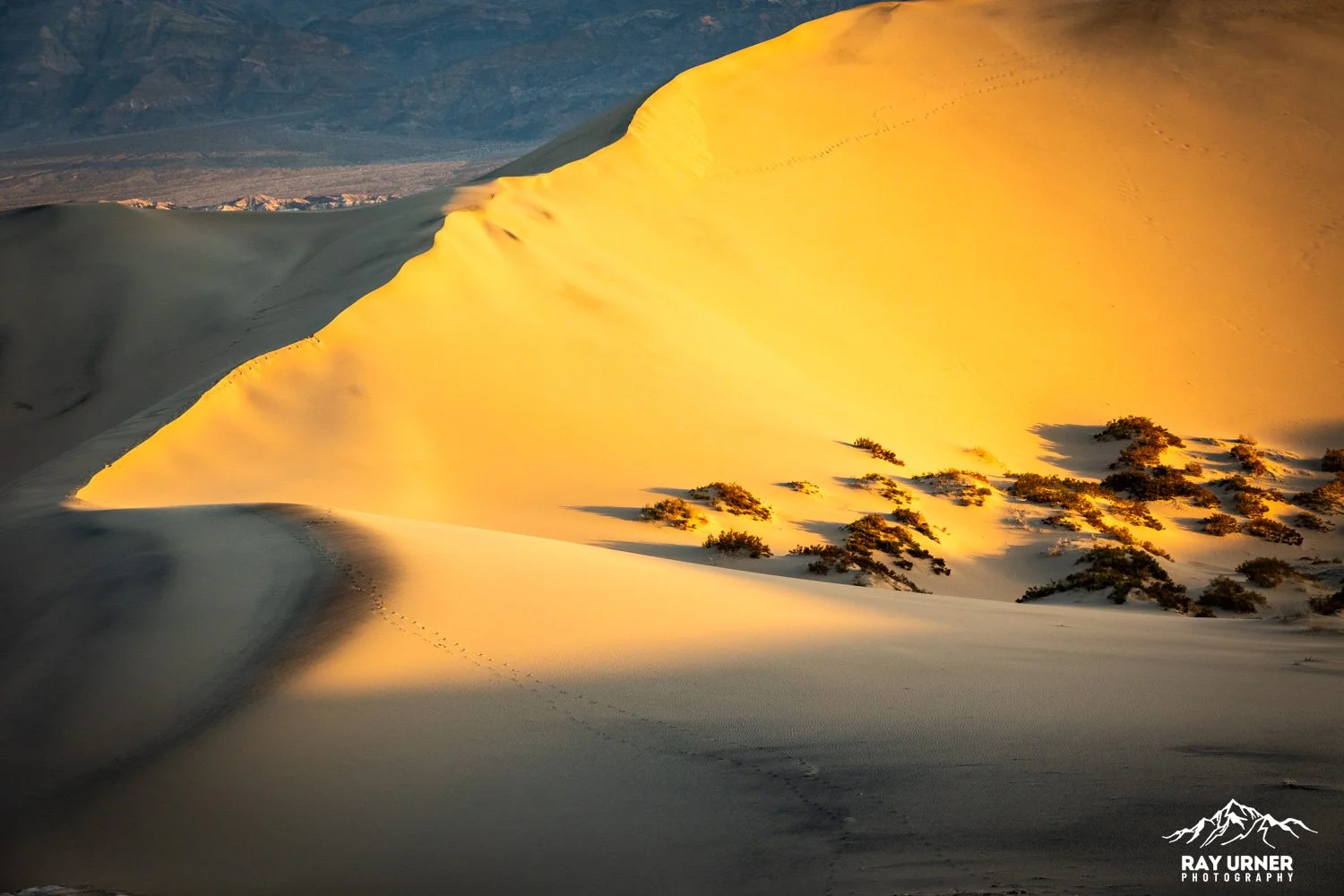 Death-Valley-Mesquite-Sand-Dunes-Sunrise-027.jpg
