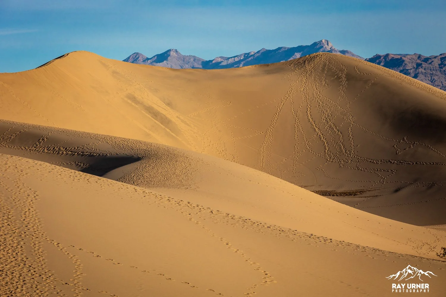 Death-Valley-Mesquite-Sand-Dunes-Sunrise-091.jpg