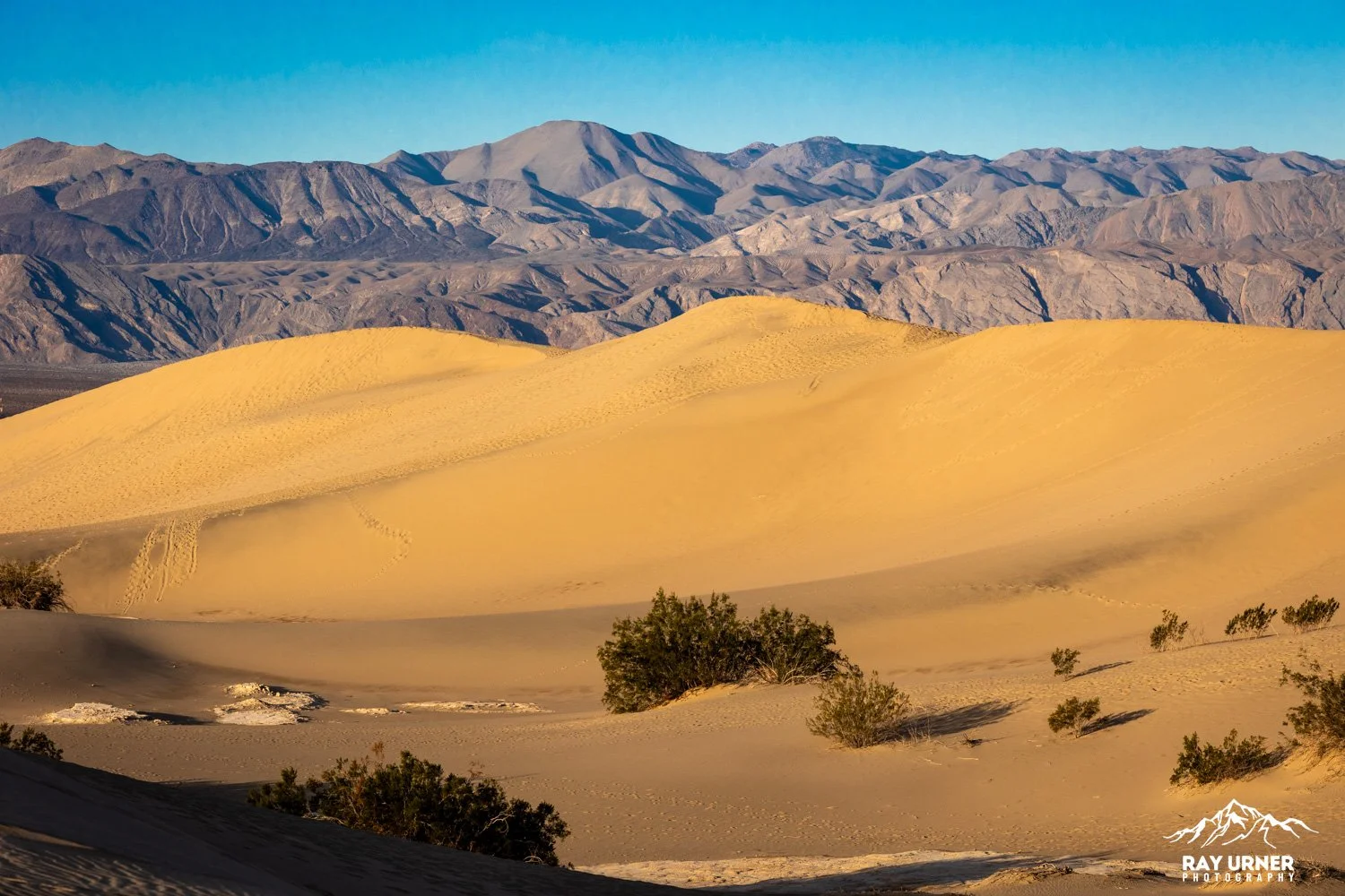 Death-Valley-Mesquite-Sand-Dunes-Sunrise-084.jpg