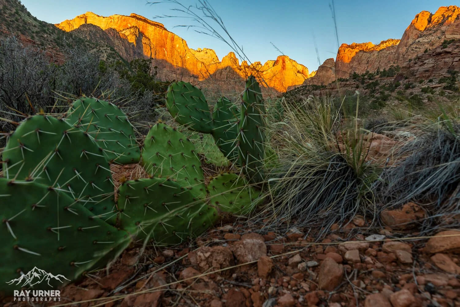 Sunrise in Zion National Park in Utah at the Towers of the Virgin