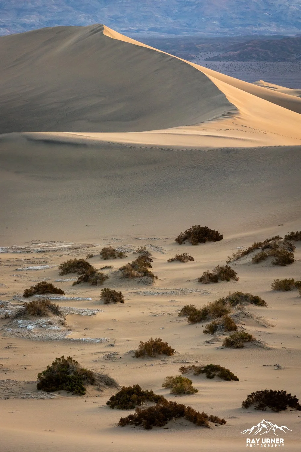 Death-Valley-Mesquite-Sand-Dunes-Sunrise-011.jpg