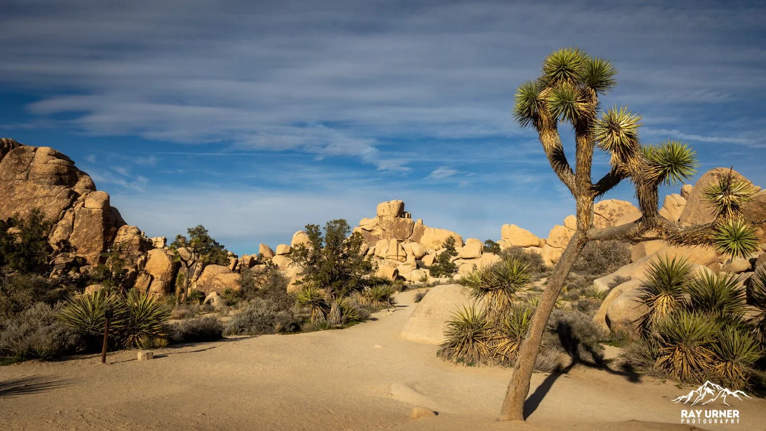 Joshua-Tree-Hidden-Valley-007.jpg