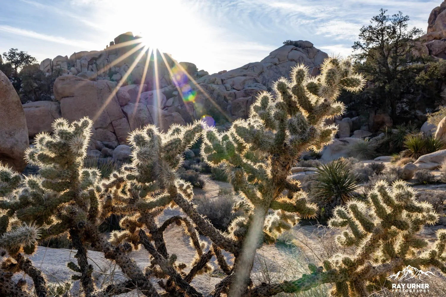 Joshua-Tree-Hidden-Valley-024.jpg