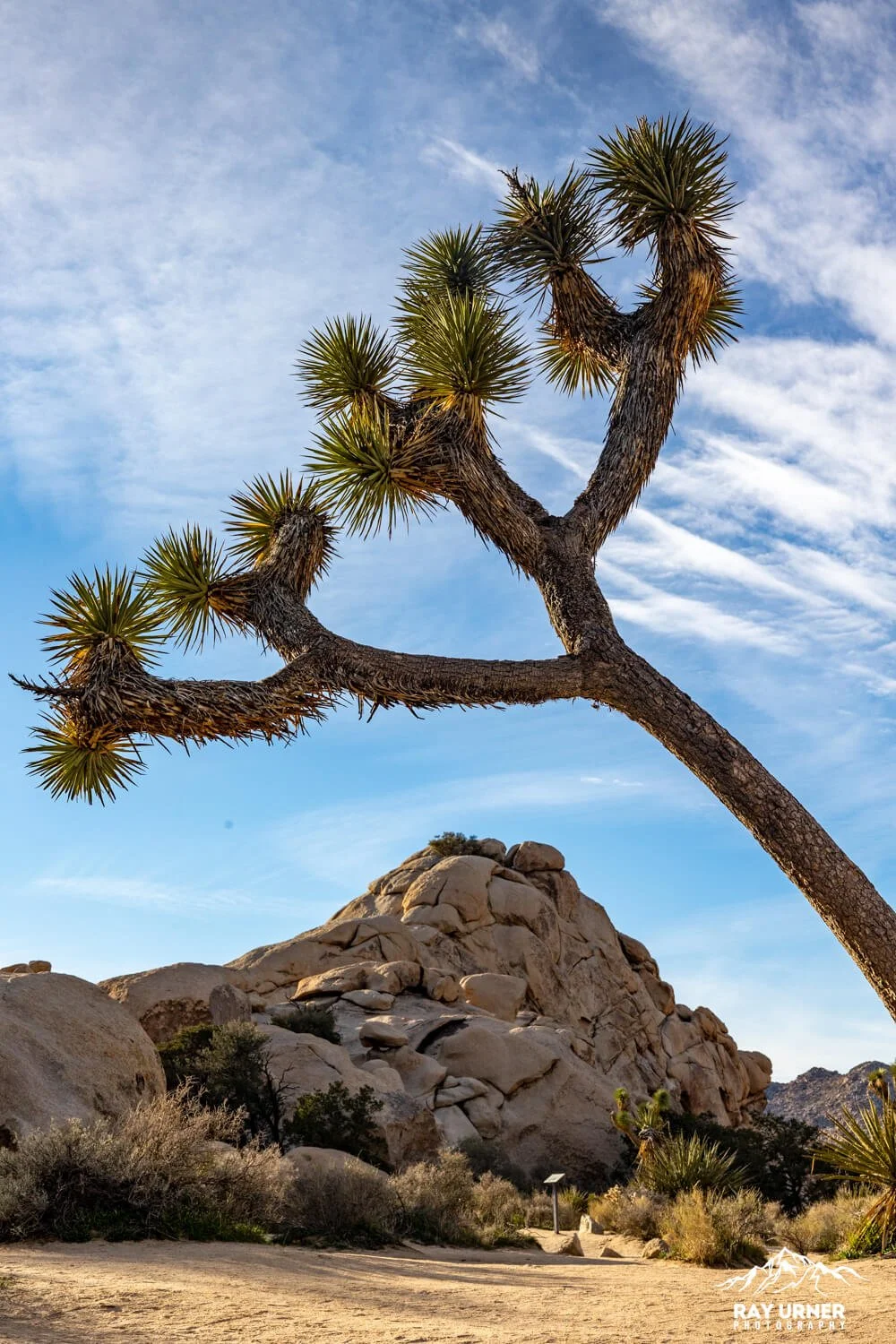 Hidden Valley Nature Trail