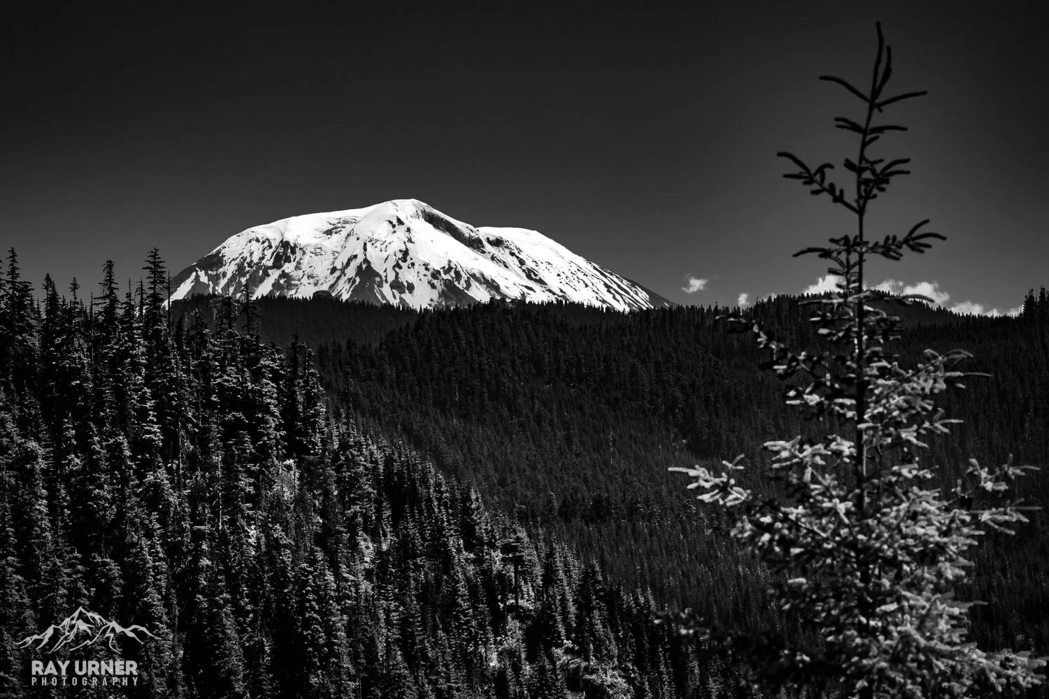 Mt. Adams from Windy Ridge