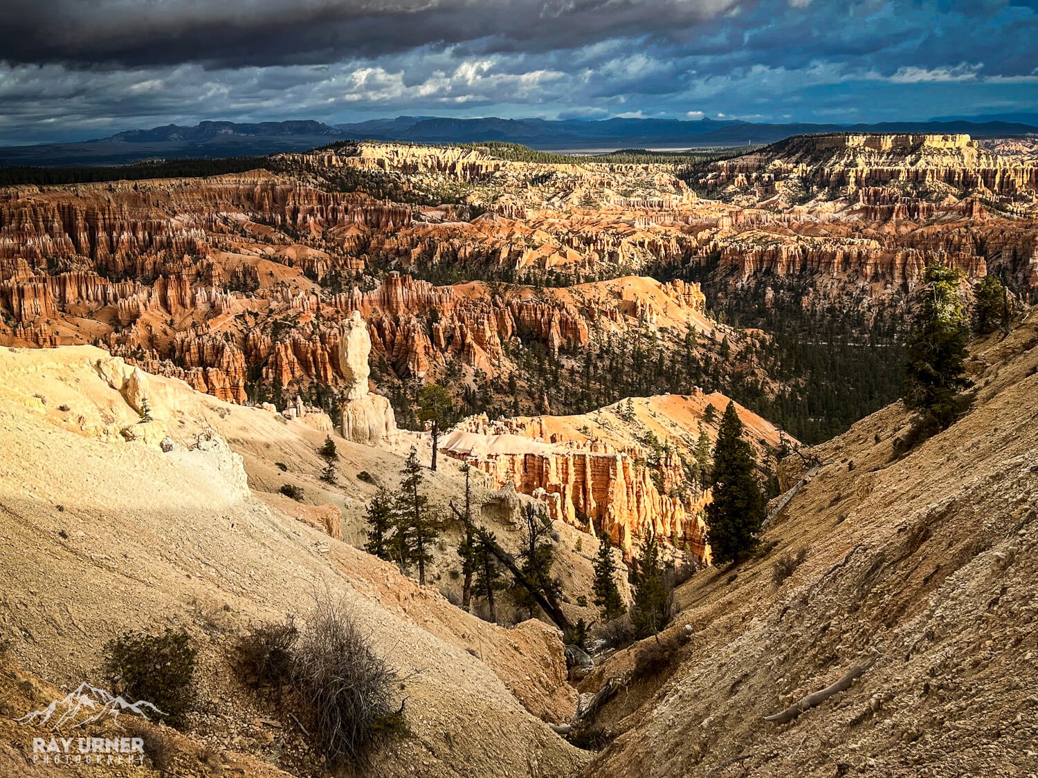 Grand Canyon with layered rock formations, pine trees, and a cloudy sky
