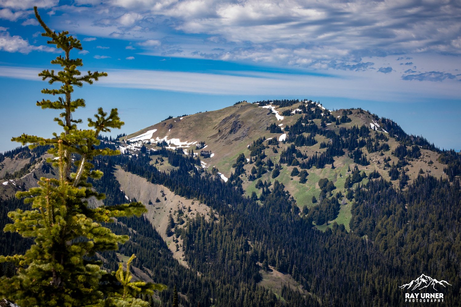 Hurricane-Ridge-Olympic-005.jpg