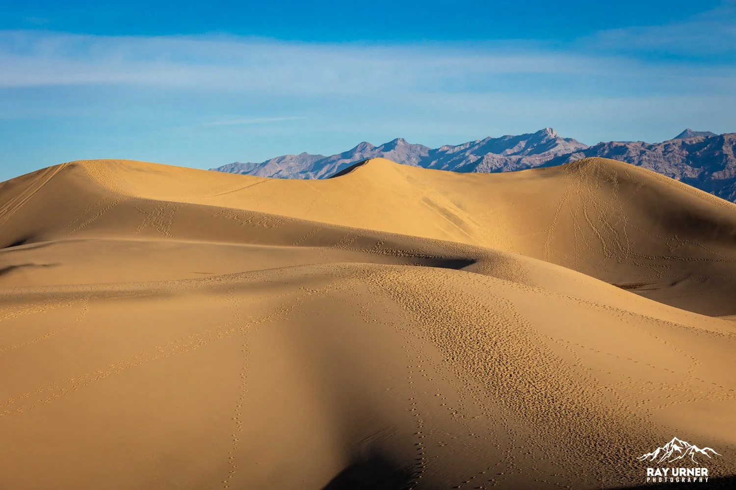 Death-Valley-Mesquite-Sand-Dunes-Sunrise-094.jpg