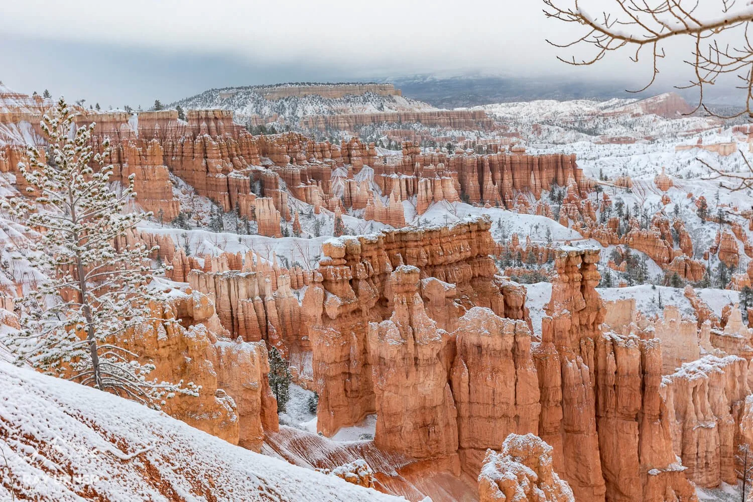 Snow in Bryce Canyon National Park in Utah, photographed from Sunset Point
