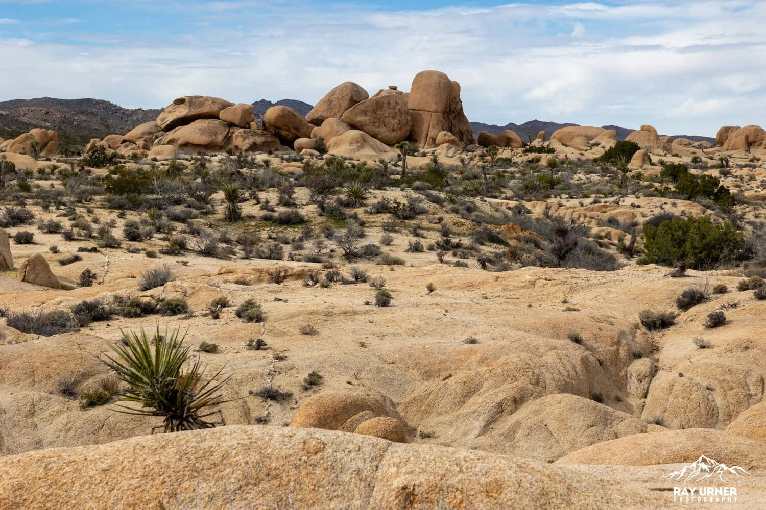 Joshua-Tree-Heart-Rock-008.jpg
