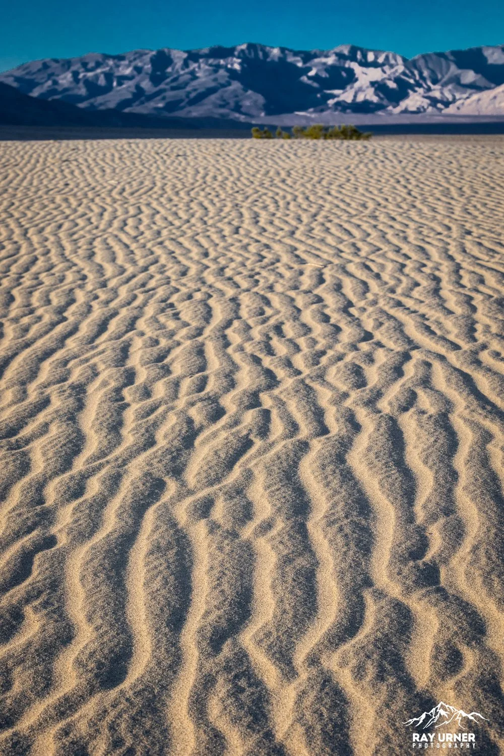 Death-Valley-Mesquite-Sand-Dunes-Sunrise-077.jpg