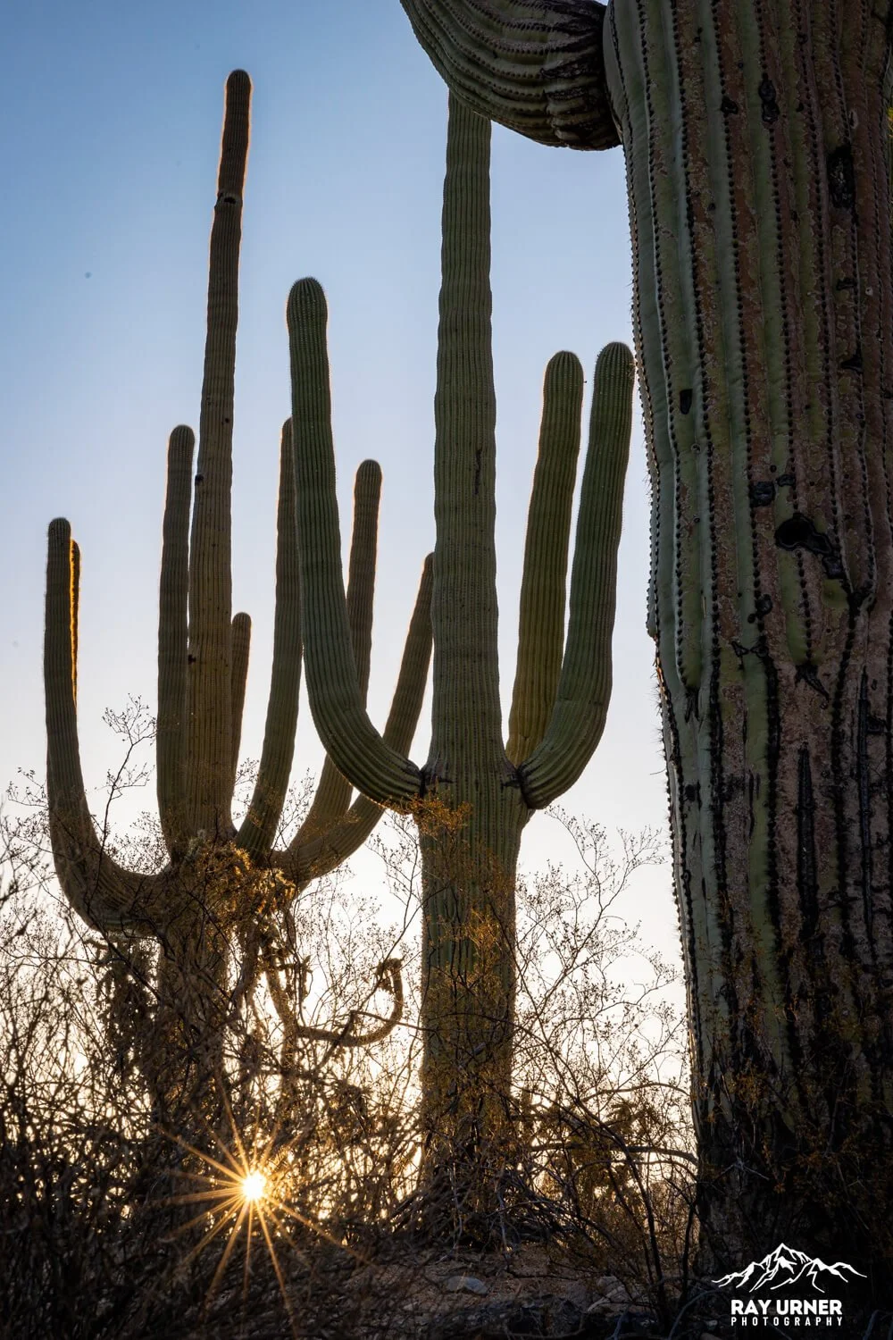 Saguaro-Valley-View-Overlook-Trail 004.jpg