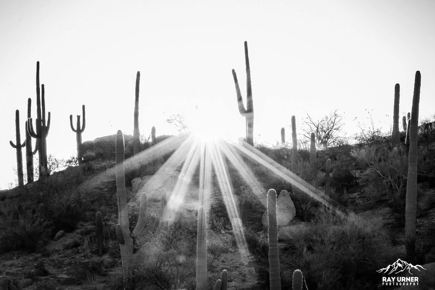 Saguaro-Valley-View-Overlook-Trail 010.jpg