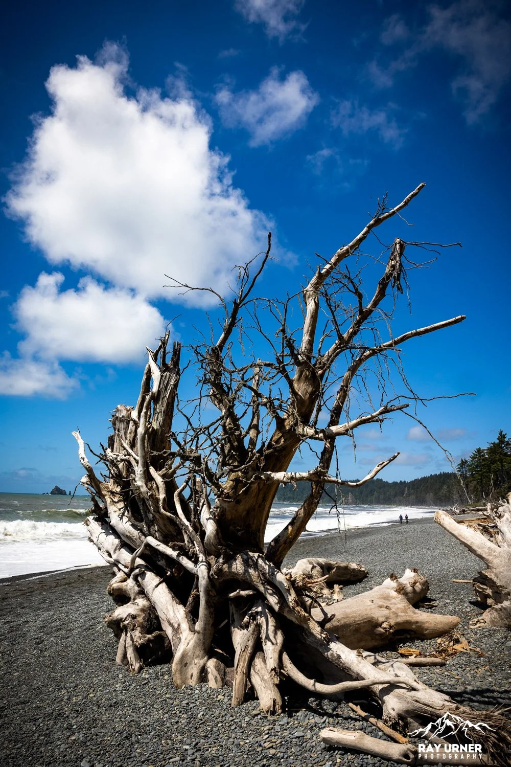 Rialto Beach
