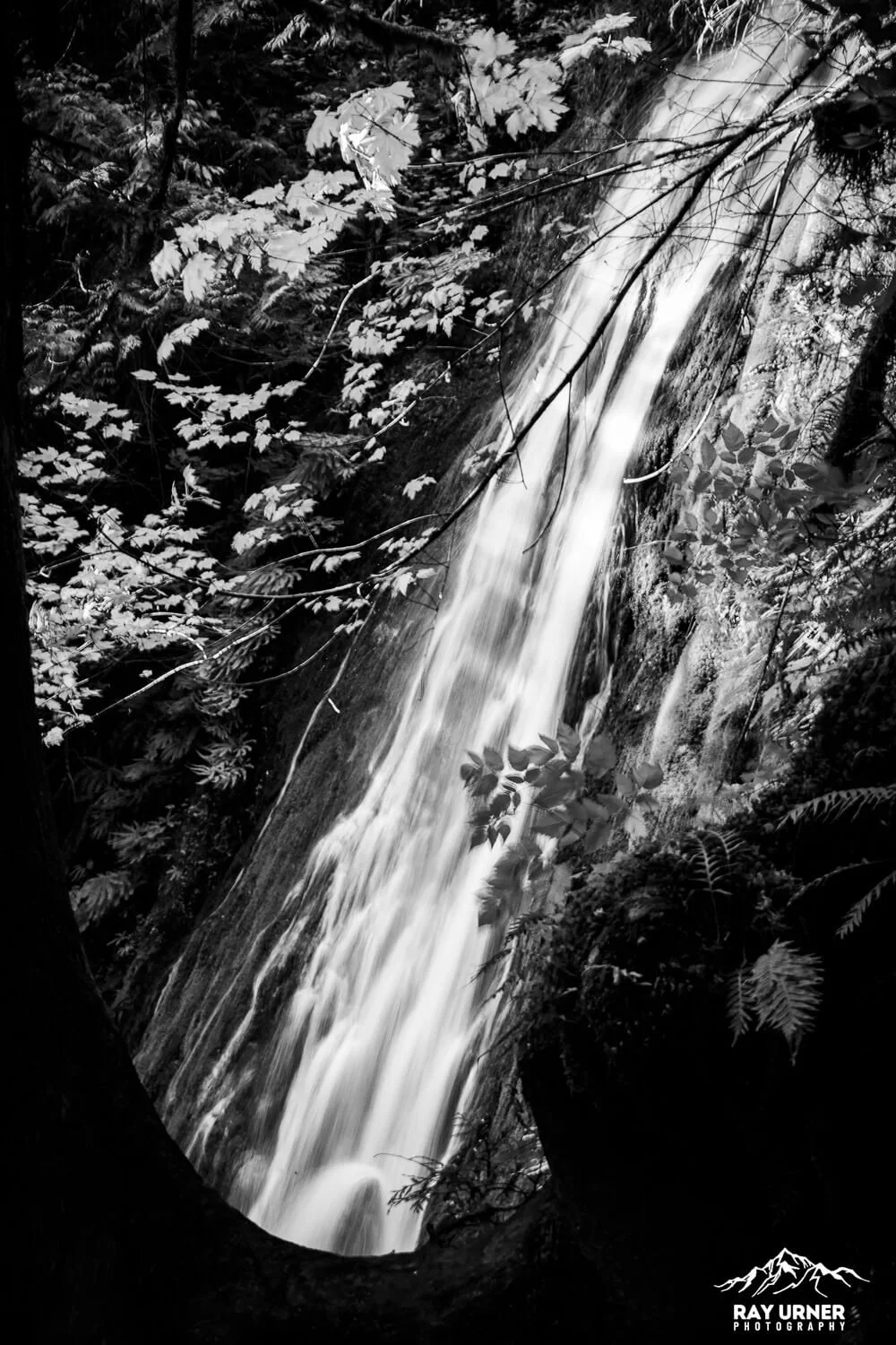 Madison-Creek-Falls-Olympic-012.jpg