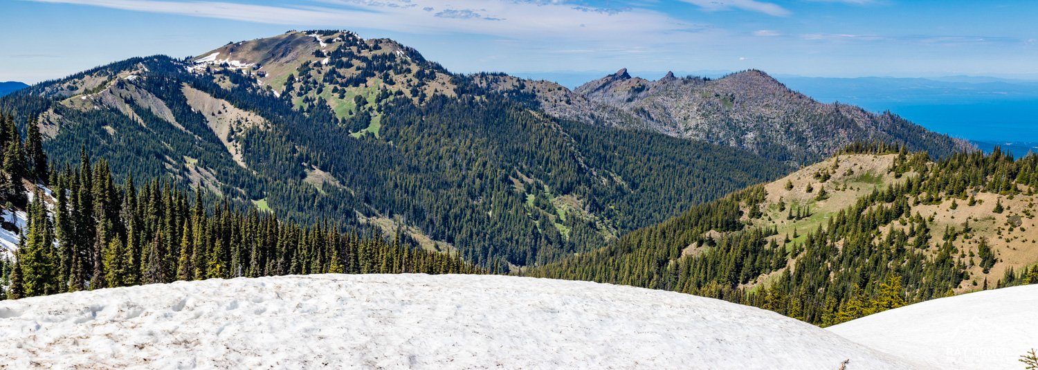 Hurricane-Ridge-Olympic-008.jpg