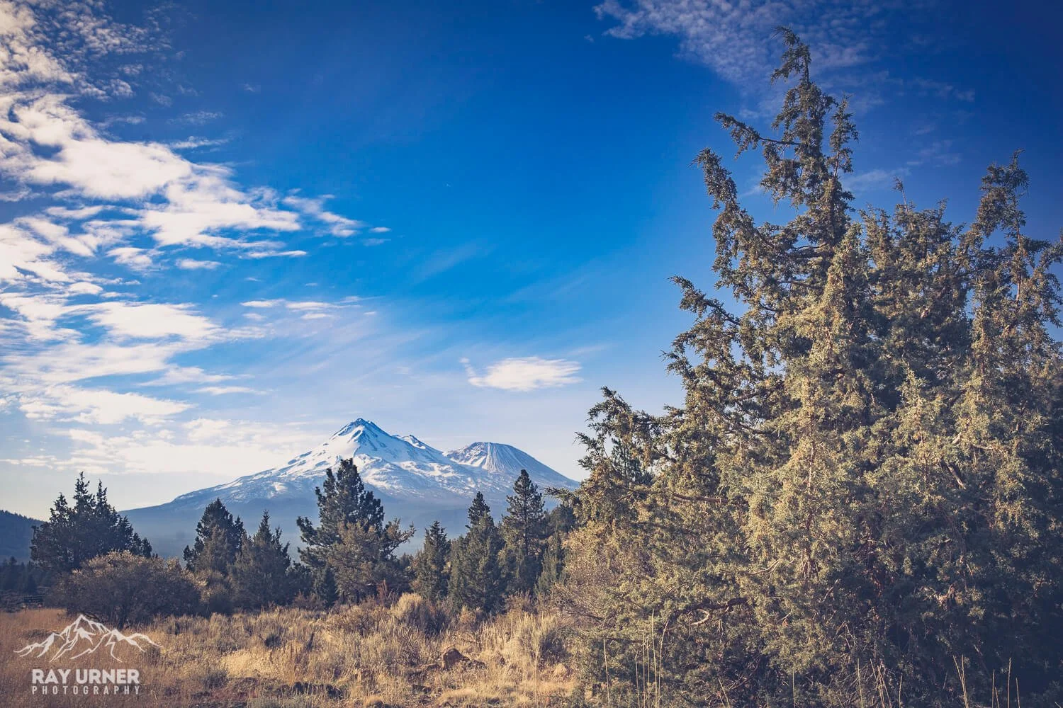 The east side of Mt. Shasta, from highway 97 in California