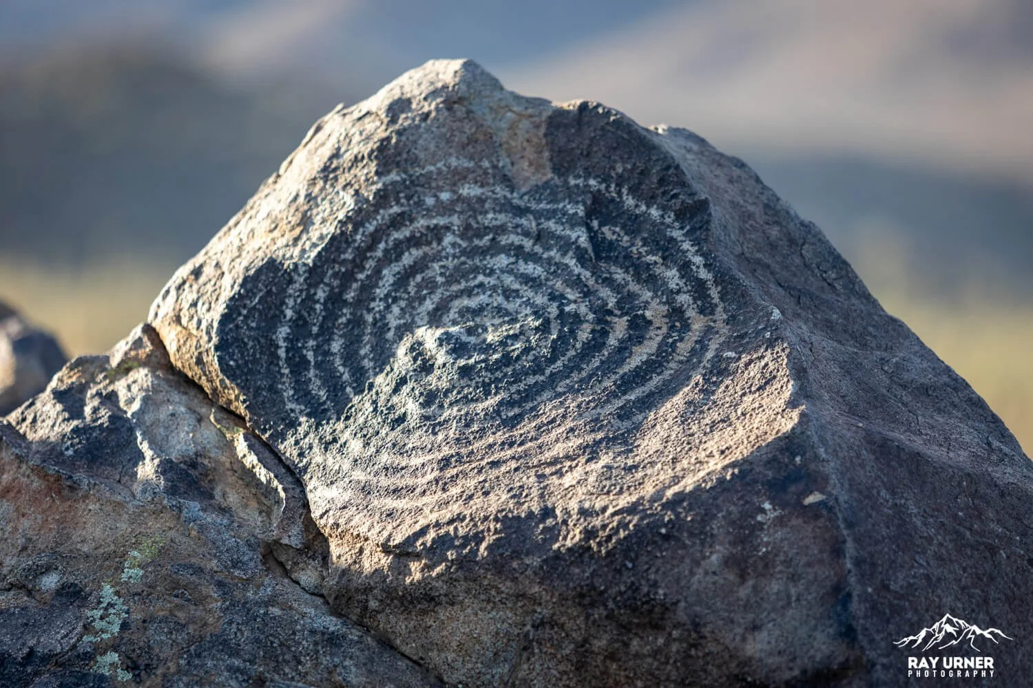 Saguaro-Signal-Hill-Petroglyphs 008.jpg