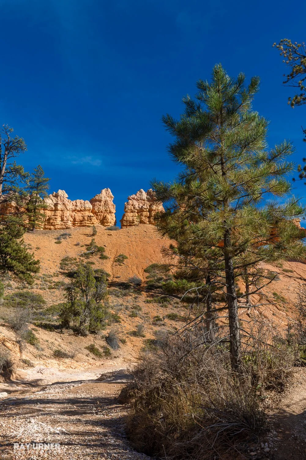 Mossy Cave hike, on the way to Bryce Canyon National Park in Utah
