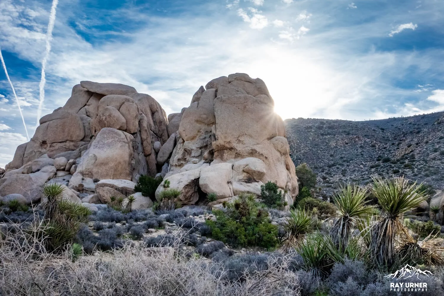 Joshua-Tree-Ryan-Mountain-002.jpg