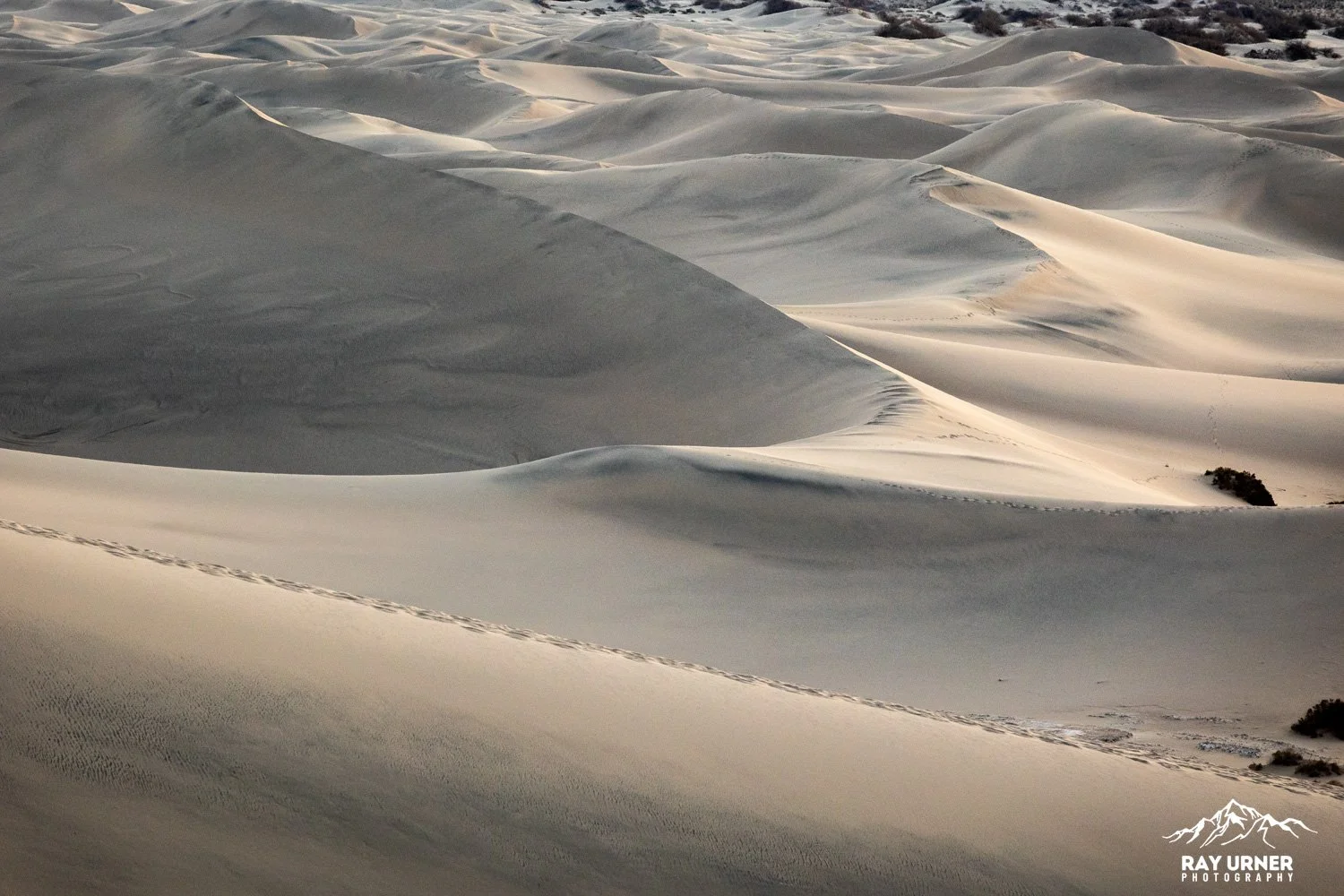 Death-Valley-Mesquite-Sand-Dunes-Sunrise-006.jpg