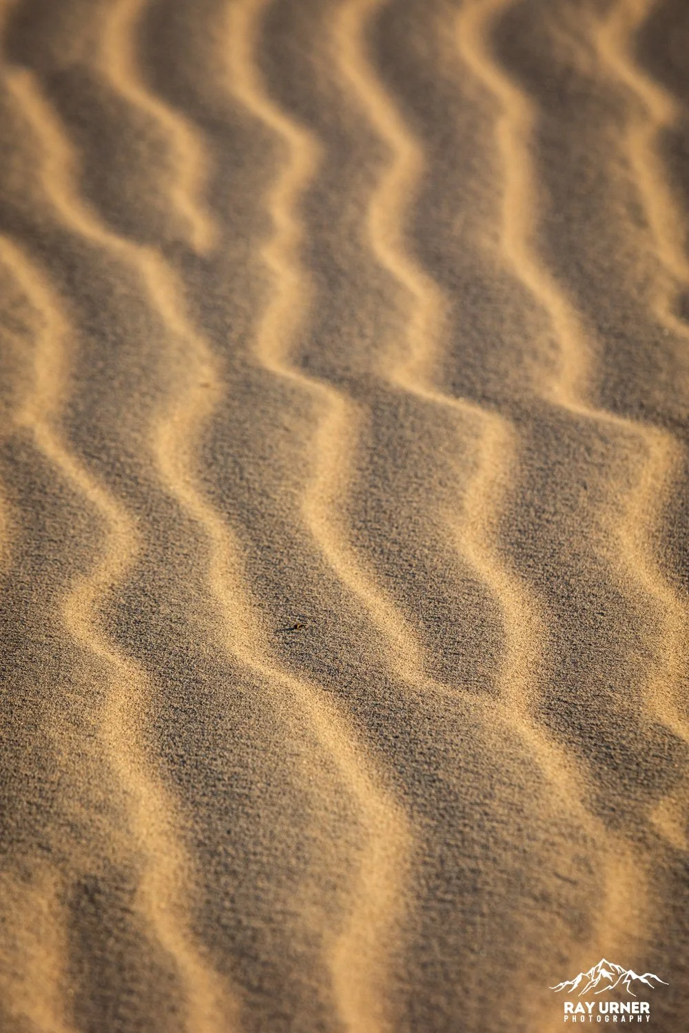 Death-Valley-Mesquite-Sand-Dunes-Sunrise-065.jpg