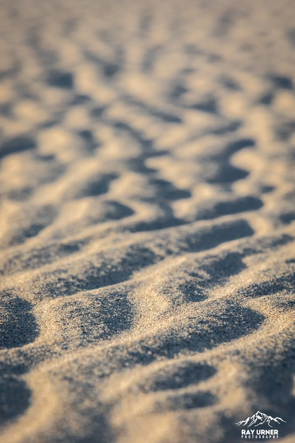 Death-Valley-Mesquite-Sand-Dunes-Sunrise-075.jpg