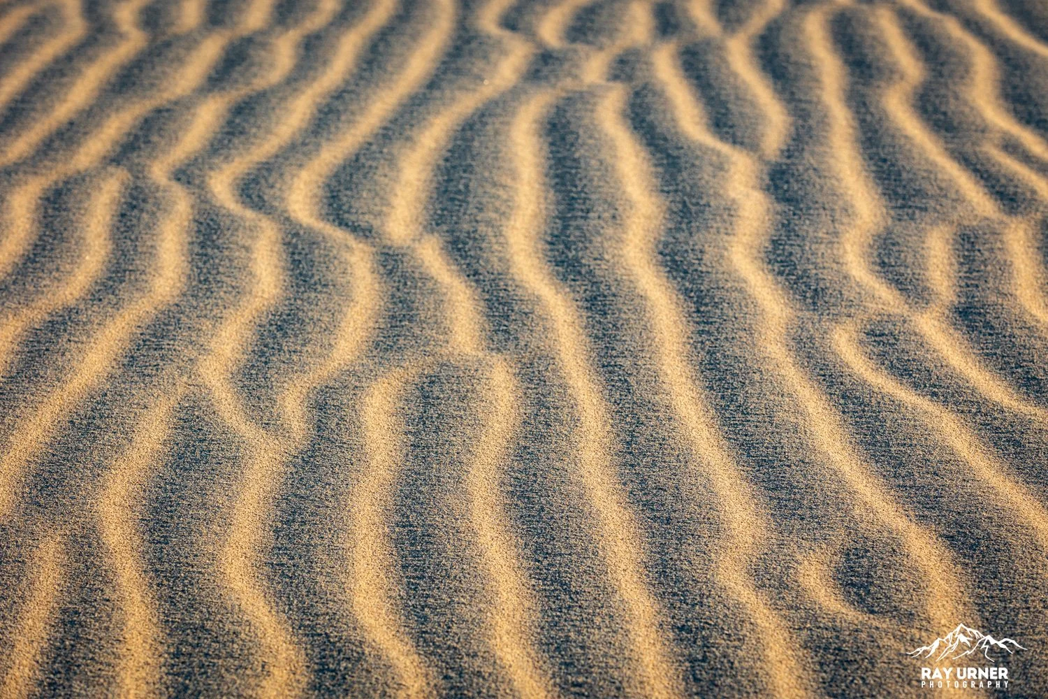 Death-Valley-Mesquite-Sand-Dunes-Sunrise-043.jpg
