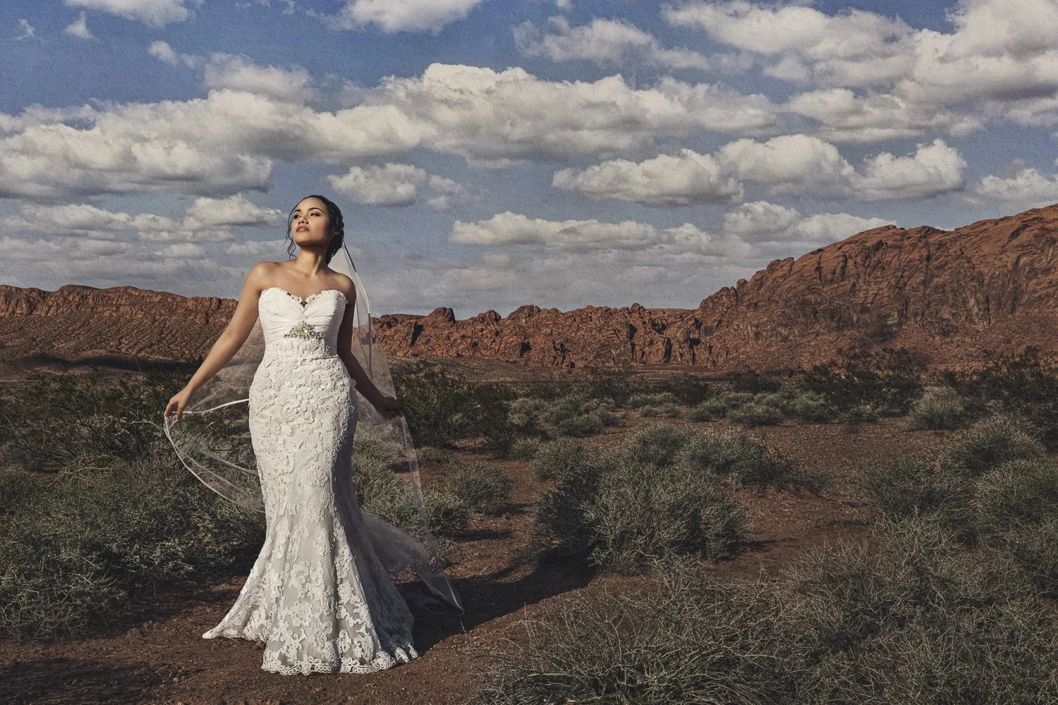 Vancouver-Wedding-Photographer-Las-Vegas-Valley-Of-Fire-Bridal-Portrait-001.jpg
